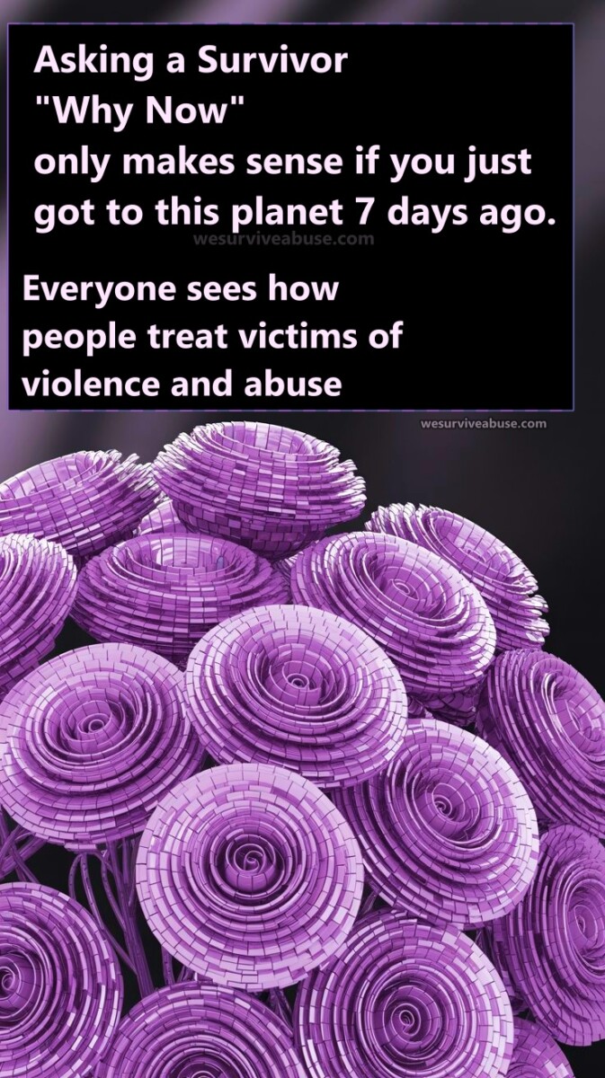 Why People Should Stop Asking Survivors of Abuse “Why Now?” Why People Should Stop Asking Survivors of Abuse “Why Now?”