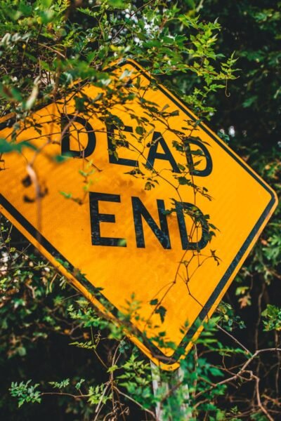Close-up of a bright yellow dead end sign obscured by leaves, symbolizing caution.