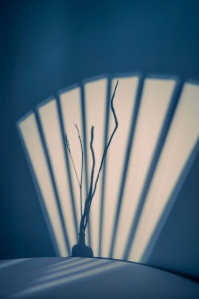 Shadow of twigs against a striped light pattern.