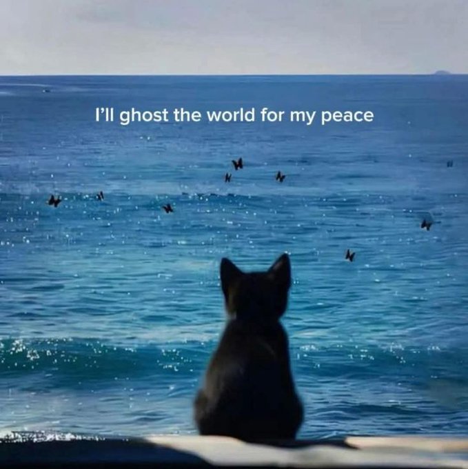 Don’t Share My Scars and Then Ask for My Help.