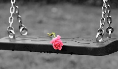 pink rose, empty swing, stop children suicide, school stress, bullying in schools, school violence, cyber bullying, child abuse in schools, horrors of education, bad marks, bad grades, repeating a school year, family pressure, toxic childhood, help kids, protect kids, give a helping hand, be nice to kids, tragedy, sadness, misery, depression, condolence, raising awareness, school violence, tragedy, tragedy, tragedy, tragedy, tragedy, sadness, misery, depression