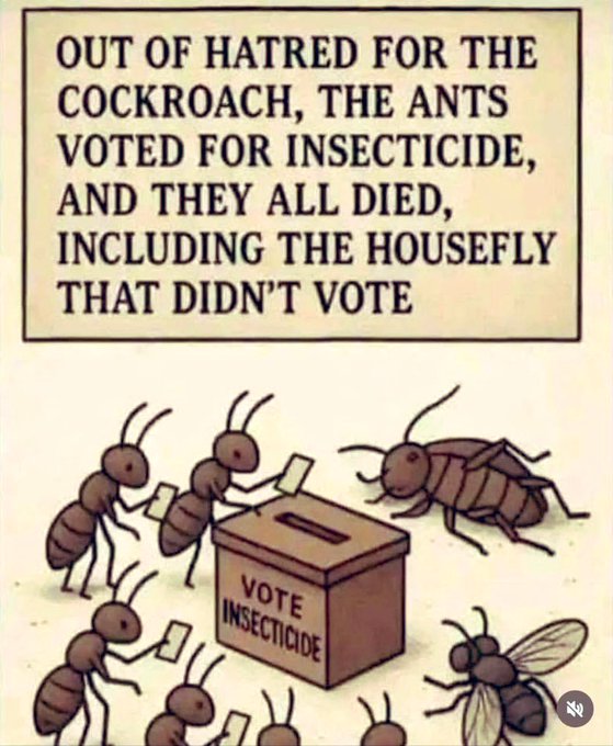 When Women Excuse Violence, Everyone Pays: The High Cost of Ignoring Abuse