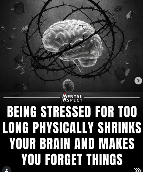 🌱 If Stress Can Shrink Your Brain, Can Healing Grow It Back?