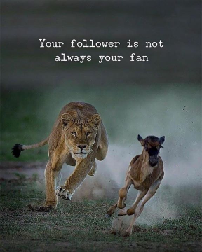 Boundaries: The Blueprint of Personal Power (featuring video from Alonna Elaine)