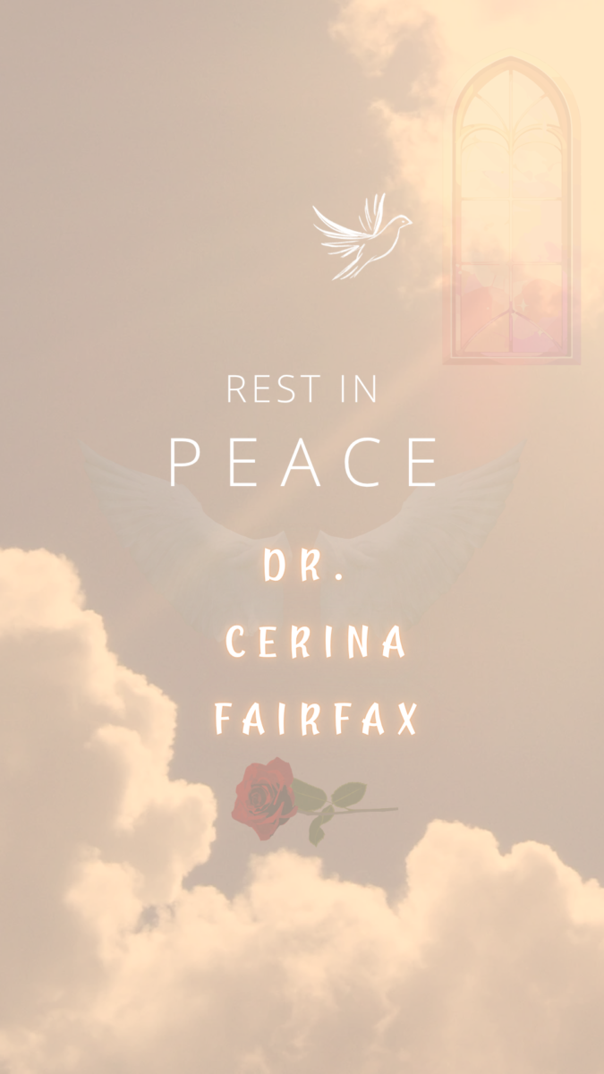 More Safe Spaces for Women Now: Even in the US, Women Are Dying in a System That Limits Their Escape